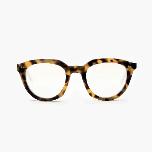 [B03309] CORTESE / Tortoiseshell