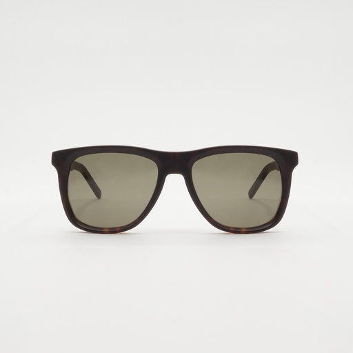 [B02813] REFOSCO Tortoiseshell